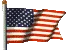 Flag of the USA